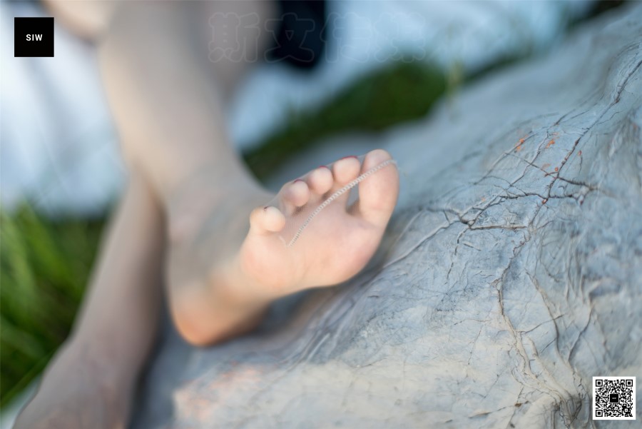 图片[19]-[SIW斯文传媒]VOL.029 草地腿模-悦悦 – 速更版-美库