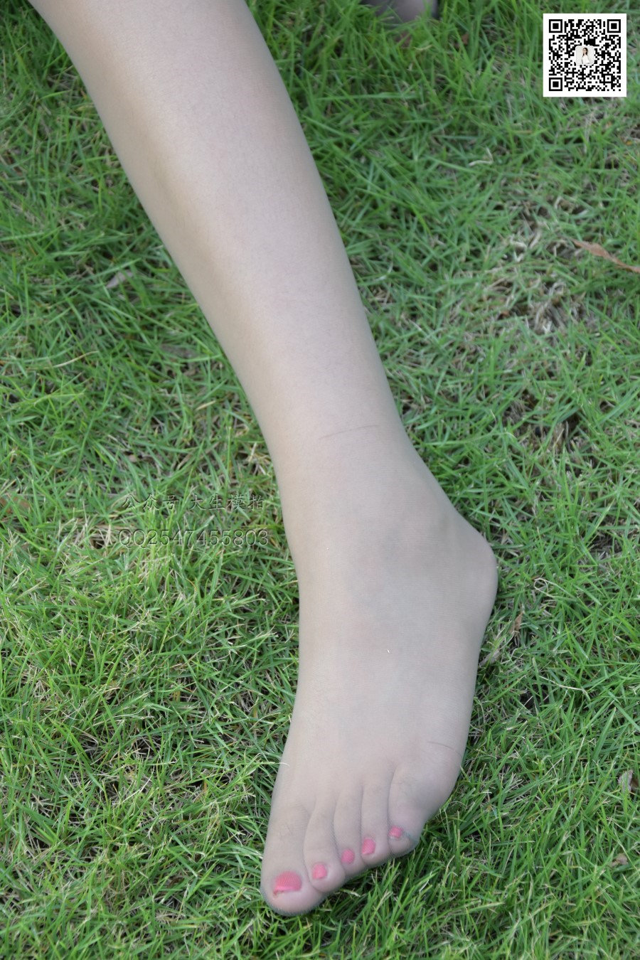 图片[37]-[大生模拍] No.030 圆圆-草地小妖精 在线浏览 – 速更版-美库