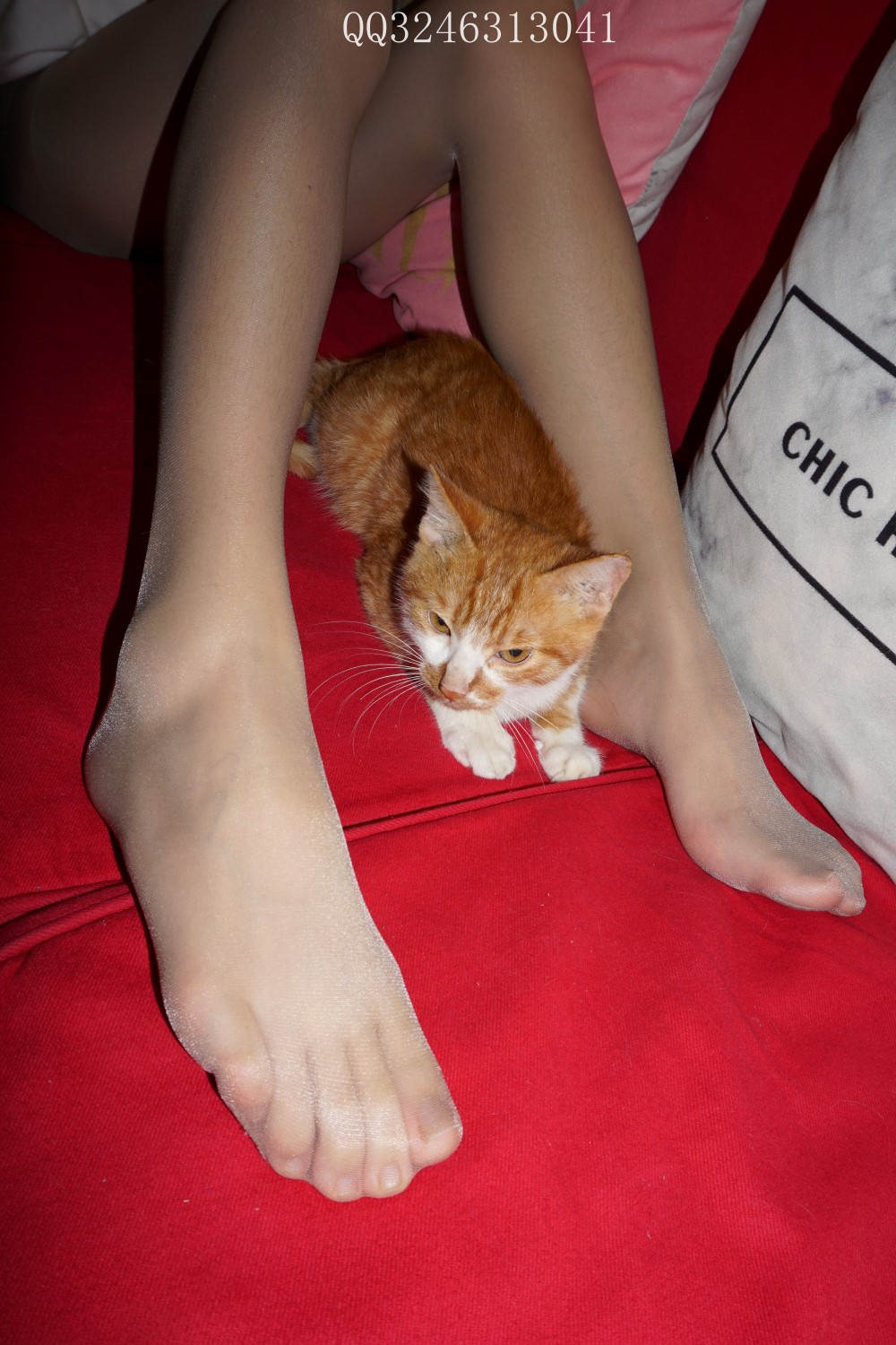 图片[16]-[大生模拍] No.090 灰丝高跟小野猫 在线浏览 – 速更版-美库