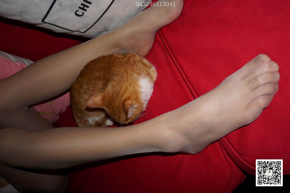 图片[17]-[大生模拍] No.090 灰丝高跟小野猫 在线浏览 – 速更版-美库