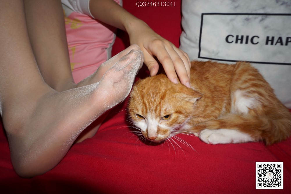 图片[19]-[大生模拍] No.090 灰丝高跟小野猫 在线浏览 – 速更版-美库