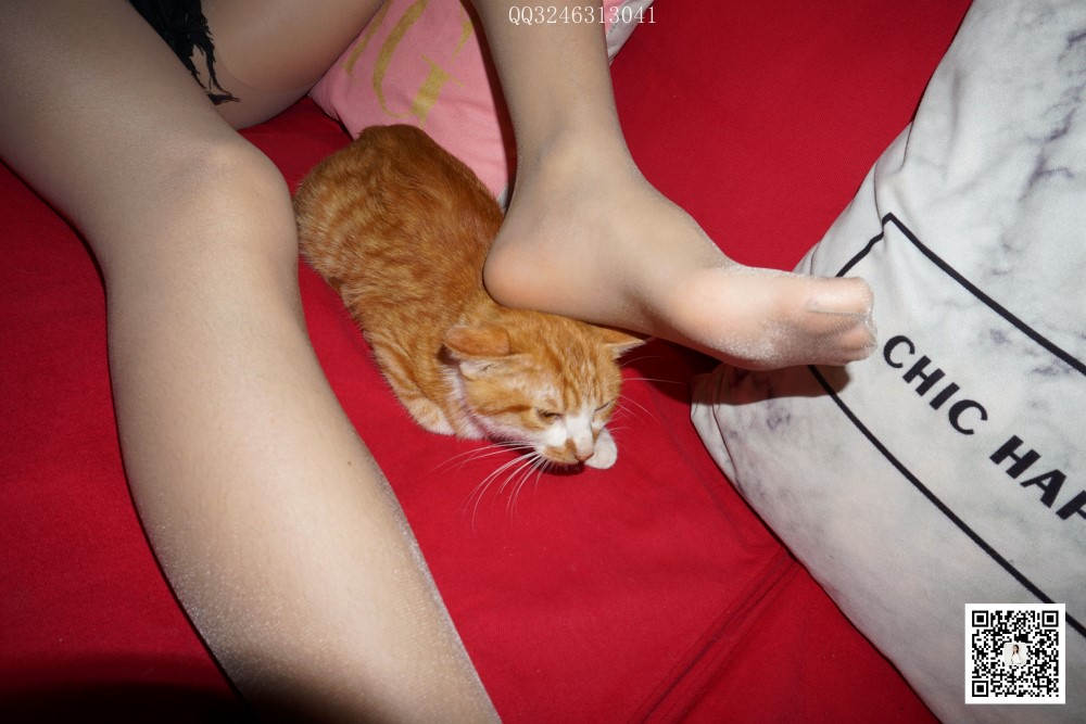 图片[21]-[大生模拍] No.090 灰丝高跟小野猫 在线浏览 – 速更版-美库