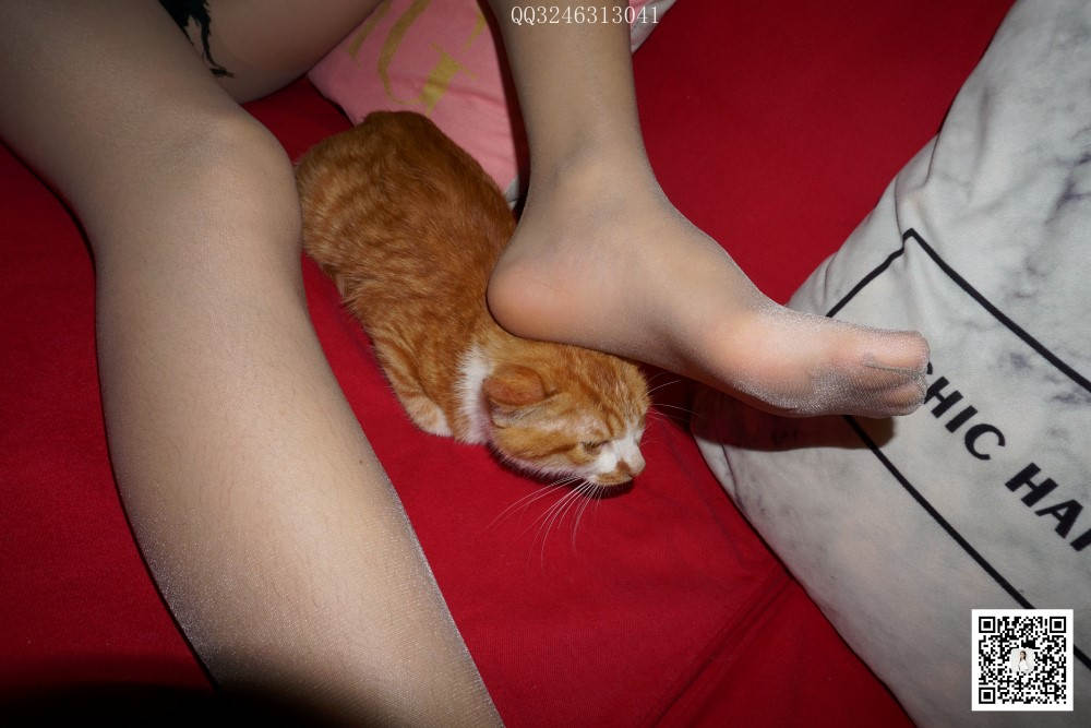 图片[22]-[大生模拍] No.090 灰丝高跟小野猫 在线浏览 – 速更版-美库