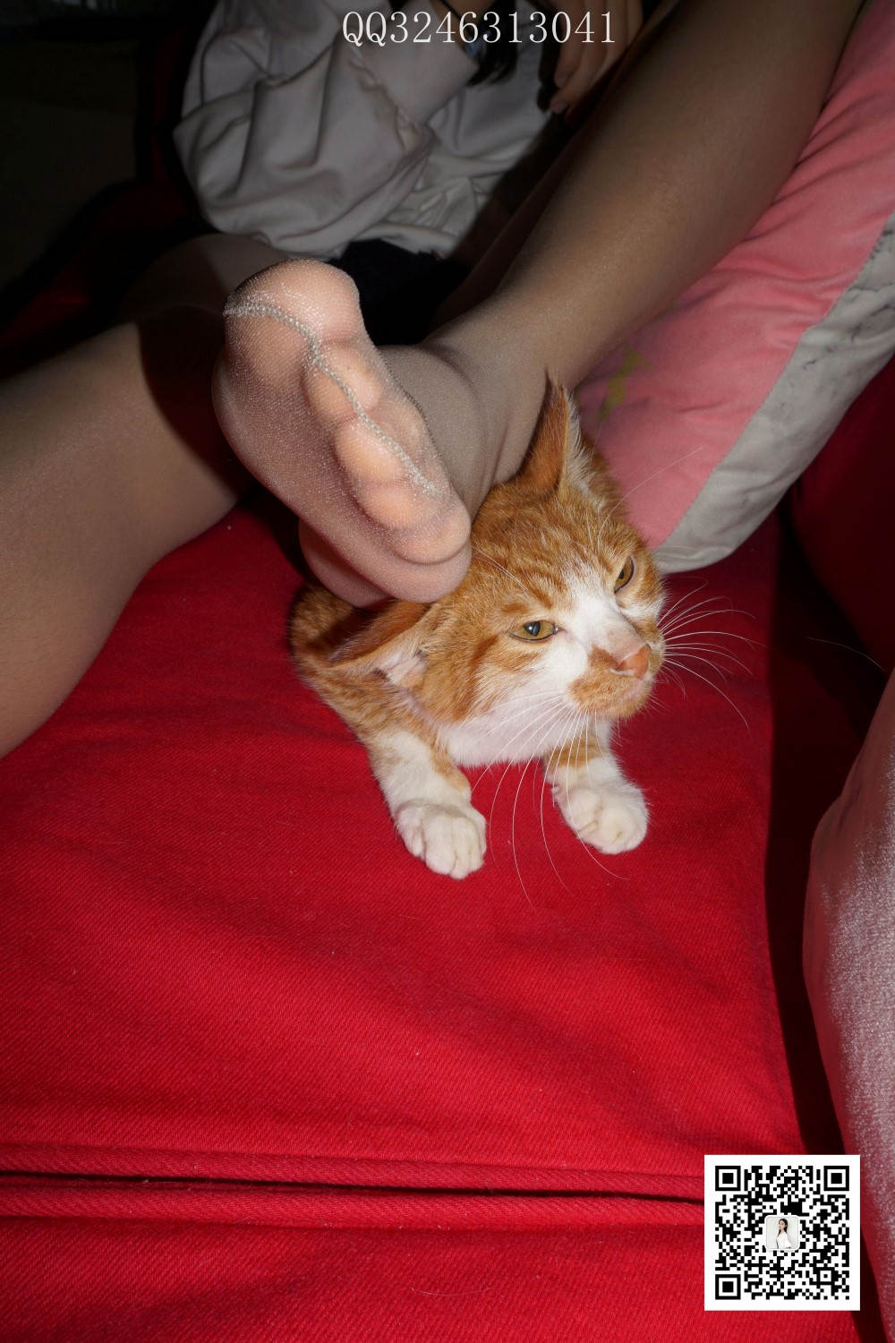 图片[23]-[大生模拍] No.090 灰丝高跟小野猫 在线浏览 – 速更版-美库