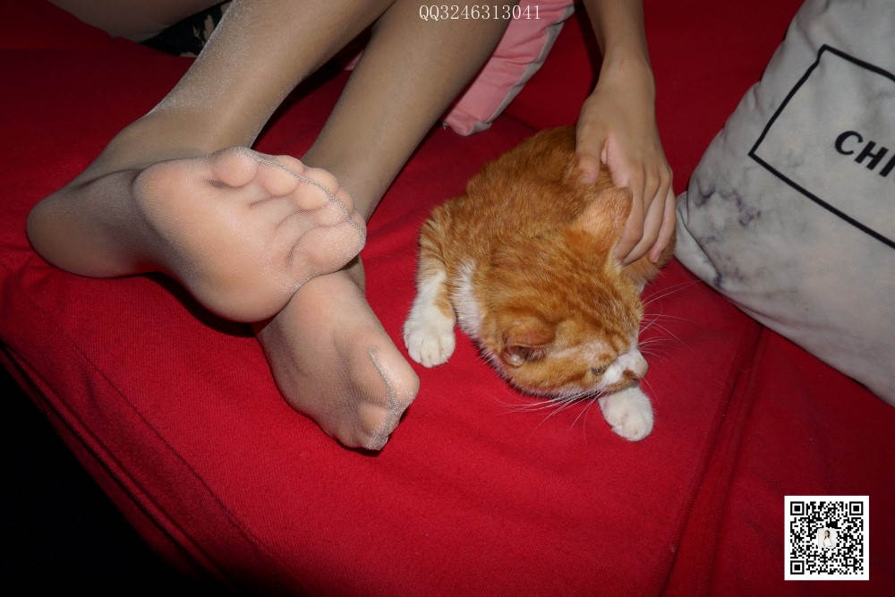 图片[25]-[大生模拍] No.090 灰丝高跟小野猫 在线浏览 – 速更版-美库