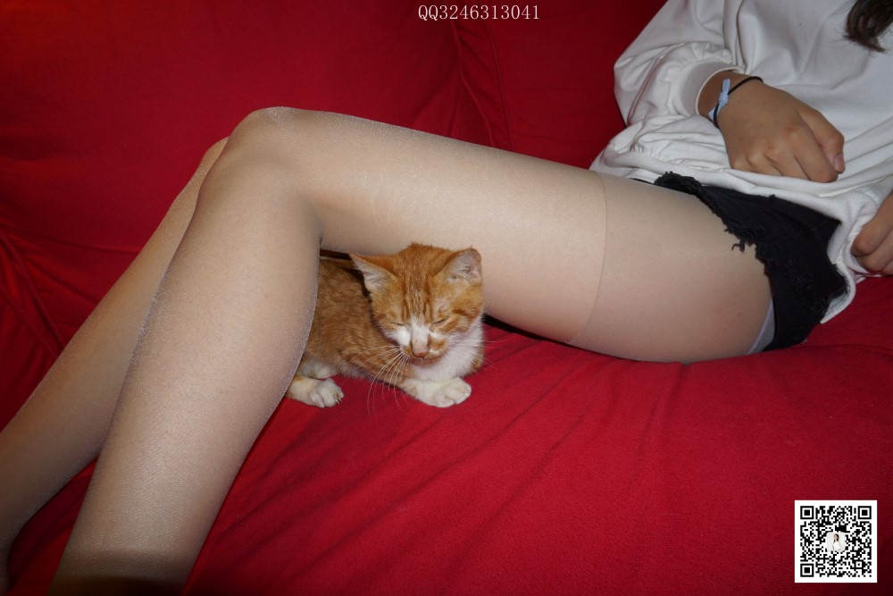 图片[85]-[大生模拍] No.090 灰丝高跟小野猫 在线浏览 – 速更版-美库