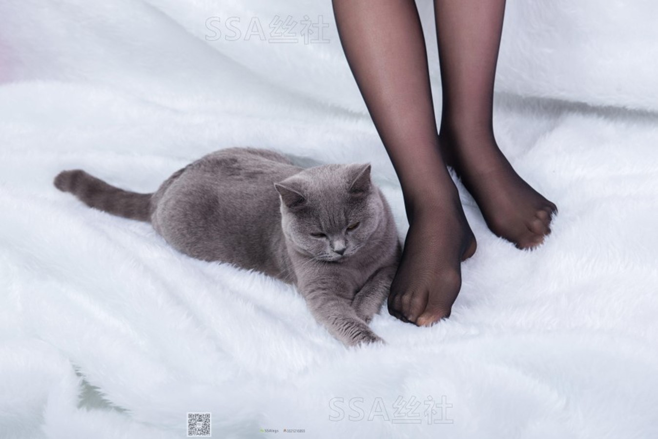 图片[94]-[SSA丝社] NO.069 云云 复古旗袍黑丝穿搭示范 在线浏览 – 速更版-美库