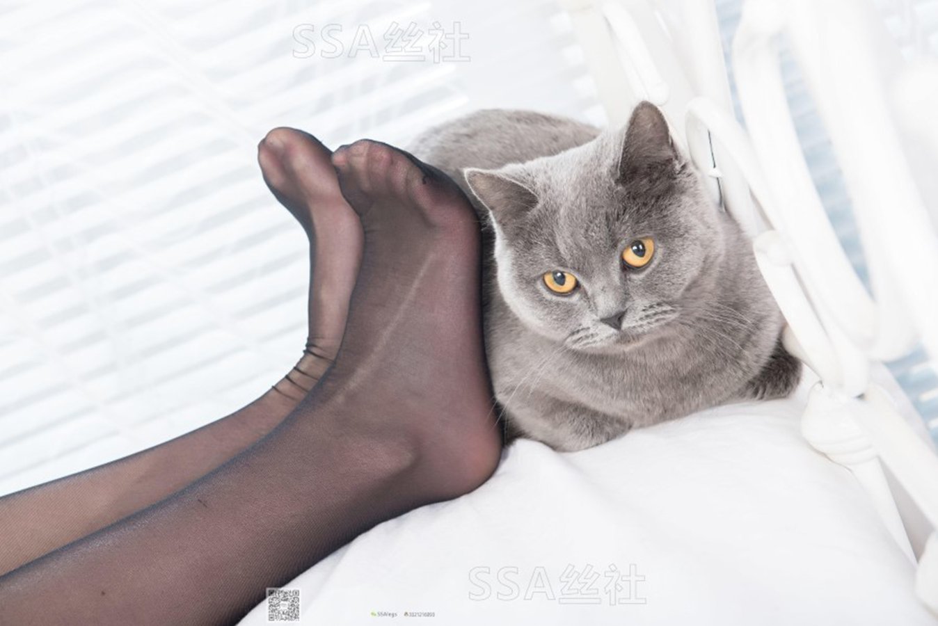 图片[31]-[SSA丝社] NO.081 佳佳的黑丝 在线浏览 – 速更版-美库