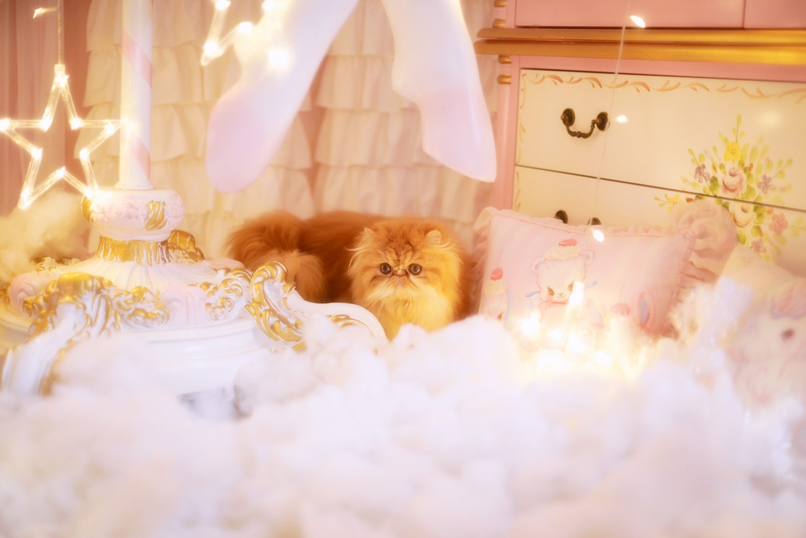 图片[16]-网红Coser@鳗鱼霏儿 猫 在线浏览 – 速更版-美库