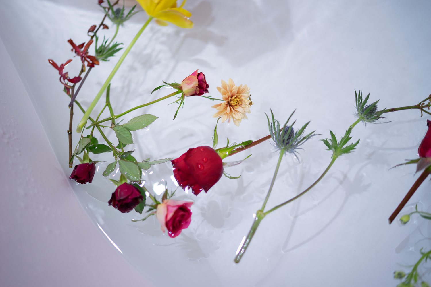 图片[14]-微博红人动漫Coser@黑川 橙色泳衣 在线浏览 – 速更版-美库