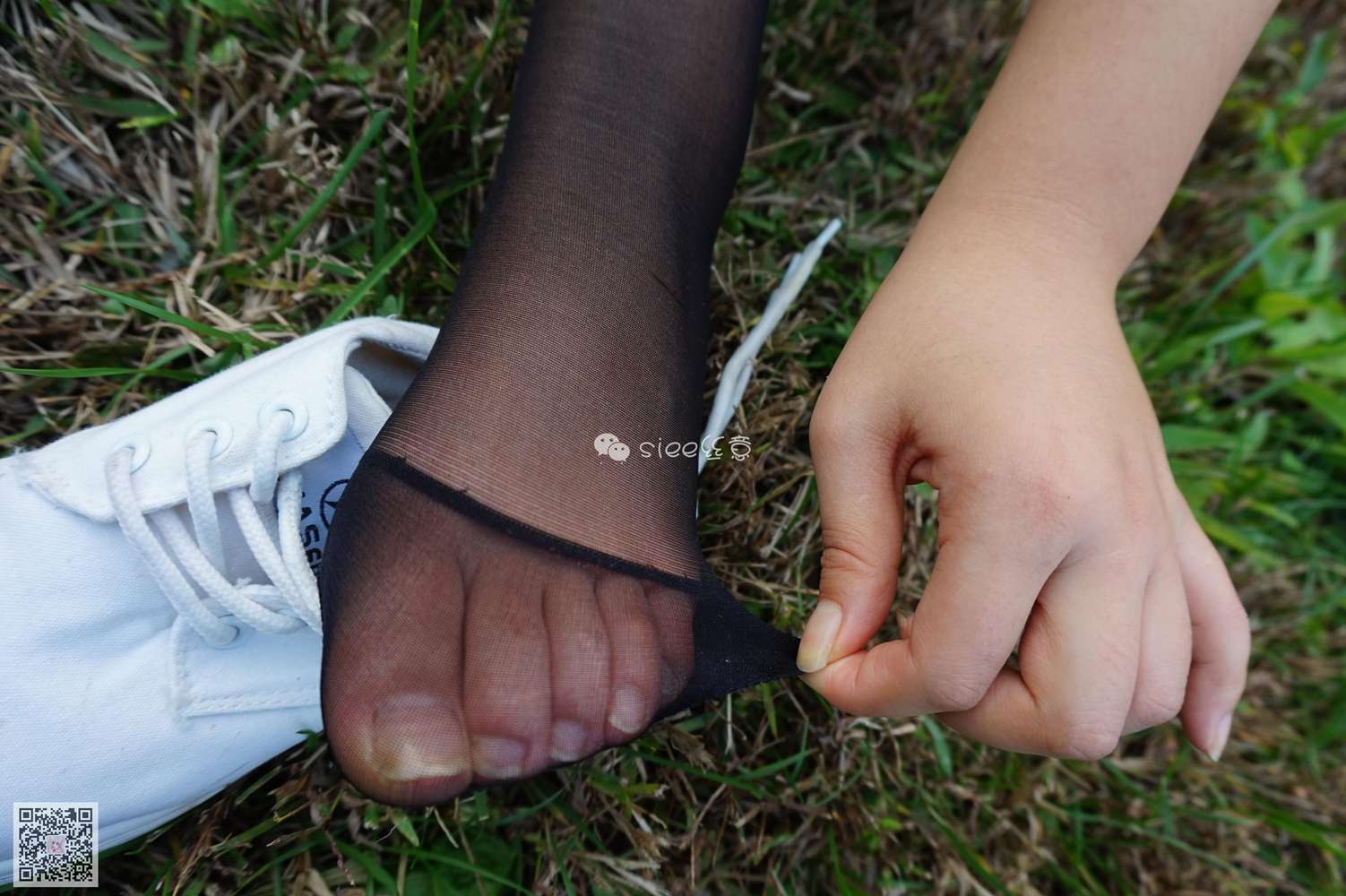 图片[24]-[SIEE丝意] No.001 曦曦 草坪黑丝 在线浏览 – 速更版-美库