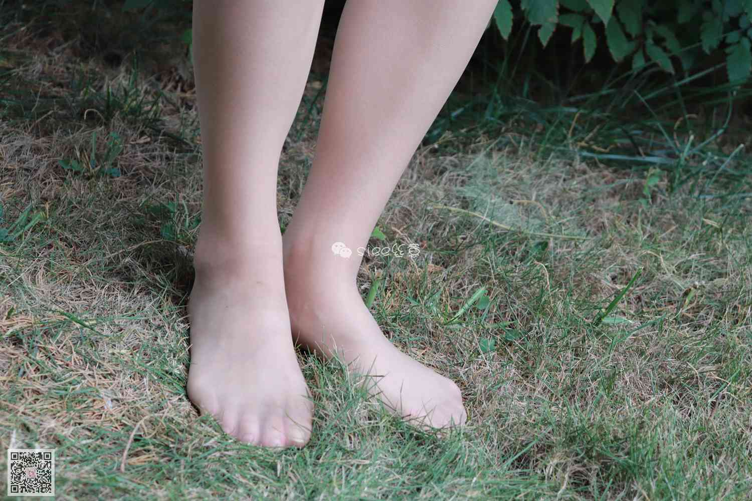 图片[18]-[SIEE丝意] No.119 玥玥~大长腿肉絲（新学妹） 在线浏览 – 速更版-美库