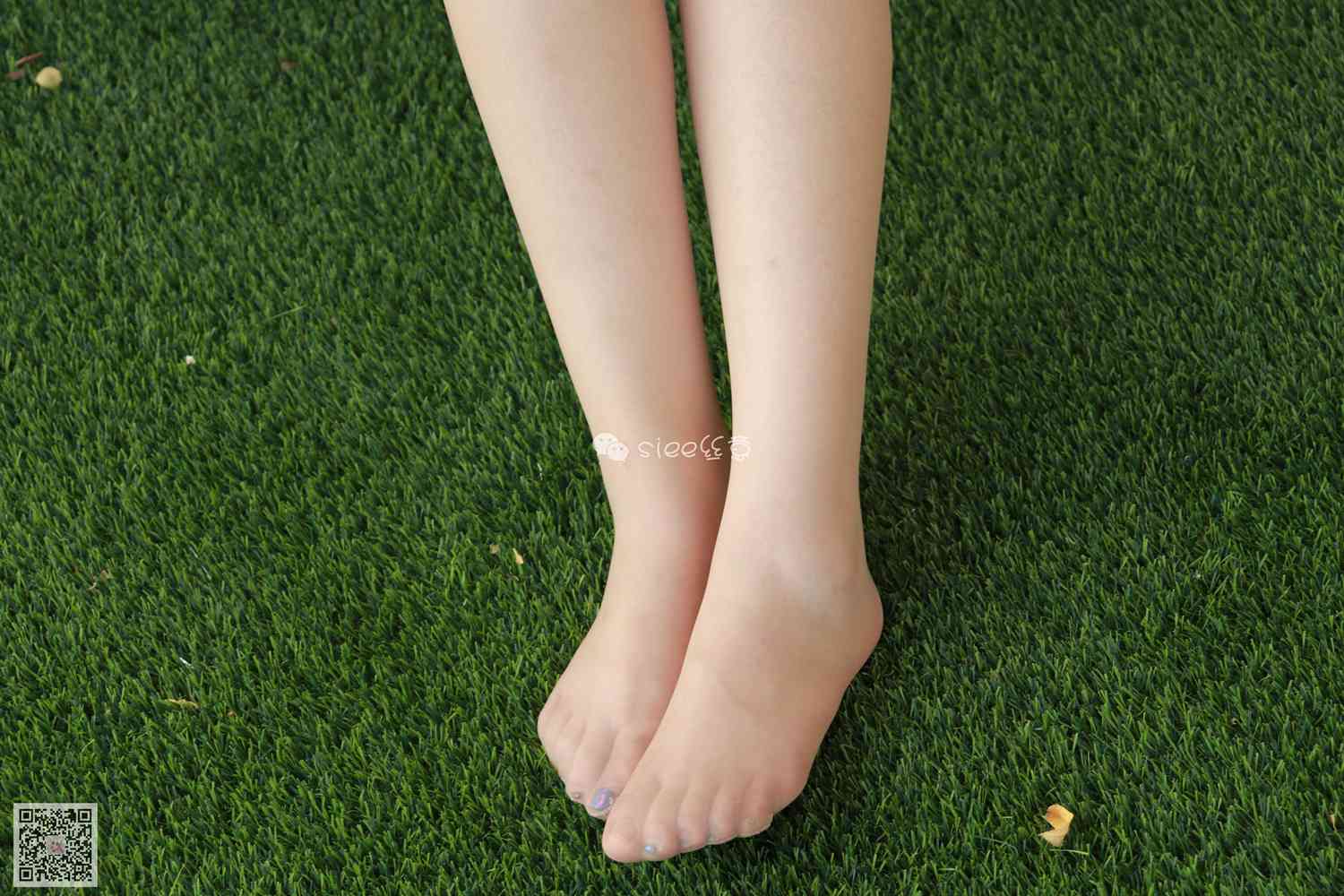 图片[16]-[SIEE丝意] No.130 晨晨~清新夏装 在线浏览 – 速更版-美库