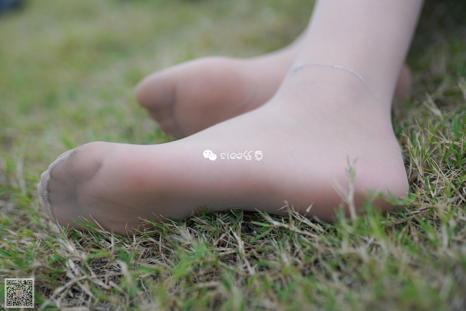 图片[10]-[SIEE丝意] No.191 晴儿~草地薄絲 在线浏览 – 速更版-美库