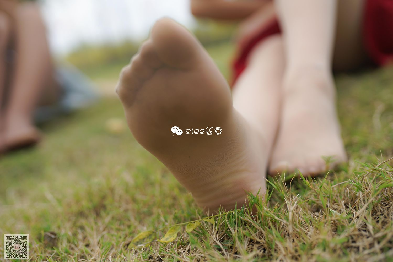 图片[17]-[SIEE丝意] No.191 晴儿~草地薄絲 在线浏览 – 速更版-美库