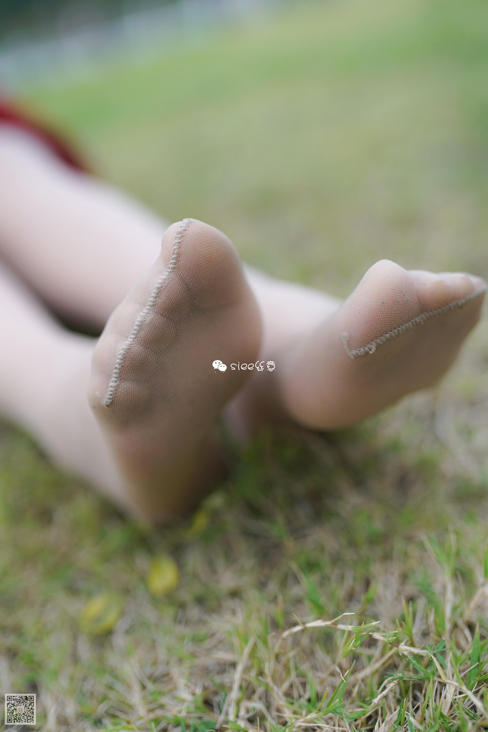 图片[20]-[SIEE丝意] No.191 晴儿~草地薄絲 在线浏览 – 速更版-美库