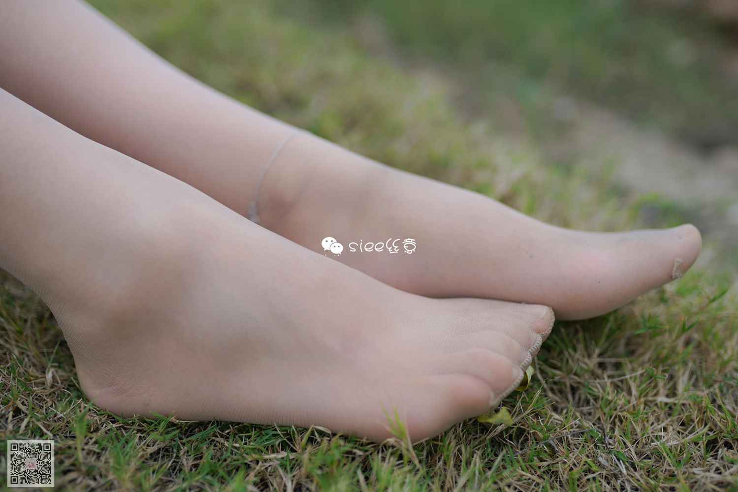 图片[23]-[SIEE丝意] No.191 晴儿~草地薄絲 在线浏览 – 速更版-美库