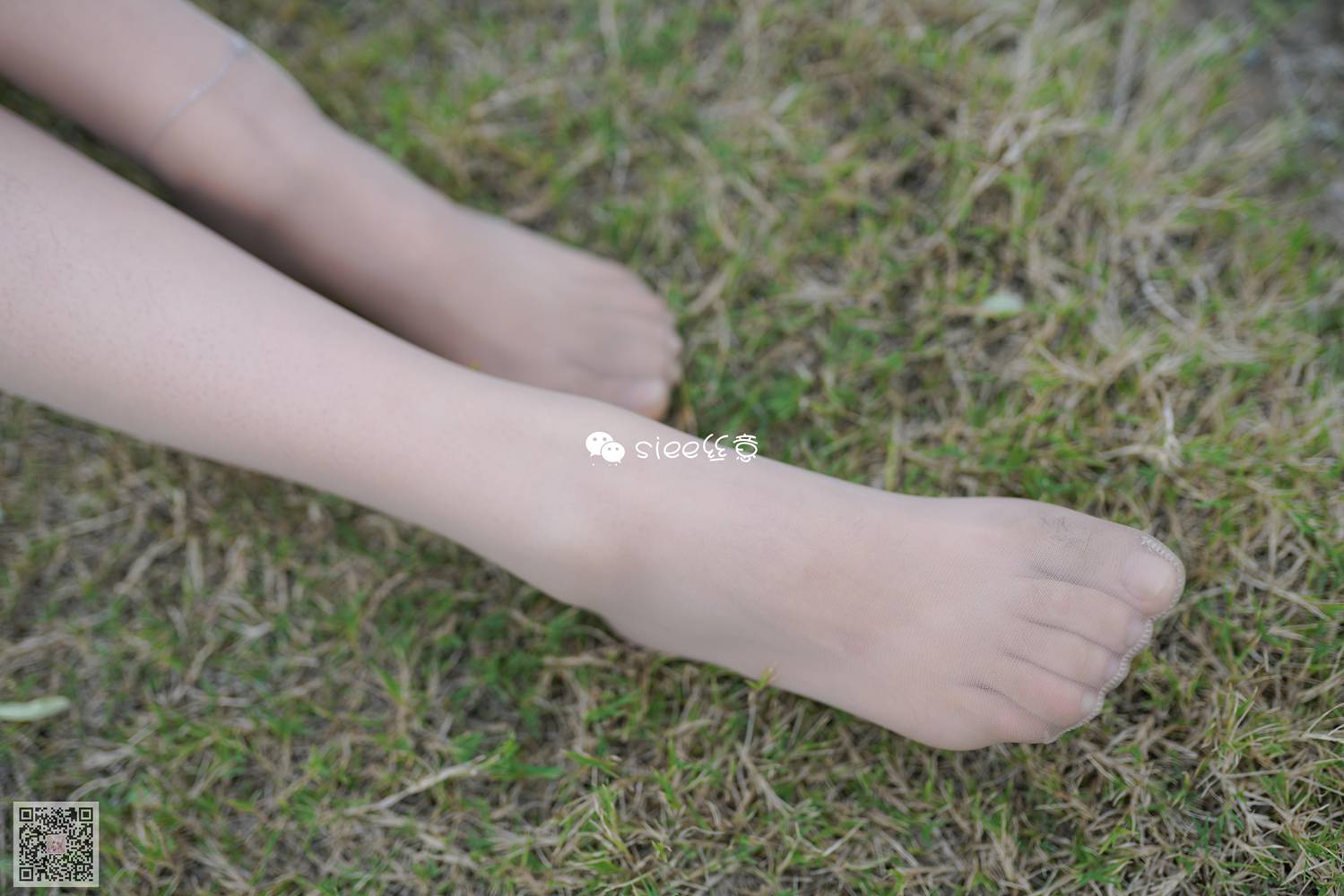 图片[26]-[SIEE丝意] No.191 晴儿~草地薄絲 在线浏览 – 速更版-美库