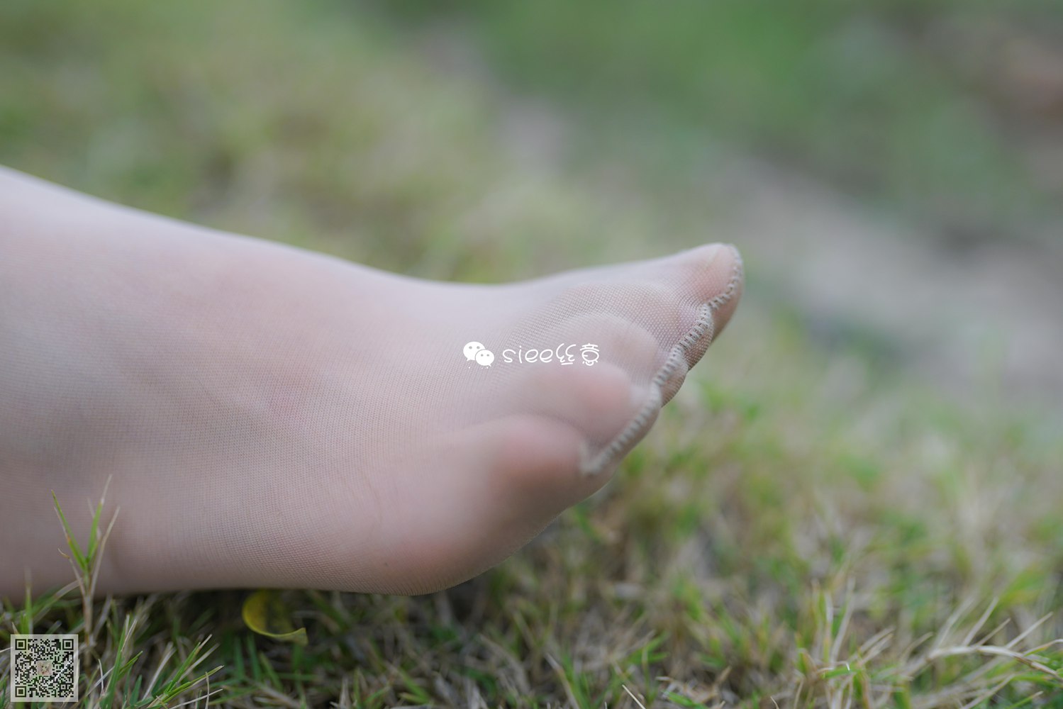 图片[27]-[SIEE丝意] No.191 晴儿~草地薄絲 在线浏览 – 速更版-美库