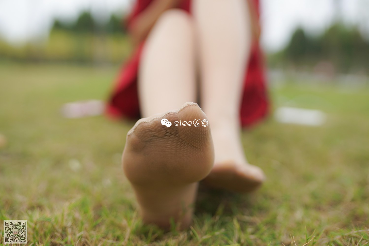 图片[30]-[SIEE丝意] No.191 晴儿~草地薄絲 在线浏览 – 速更版-美库