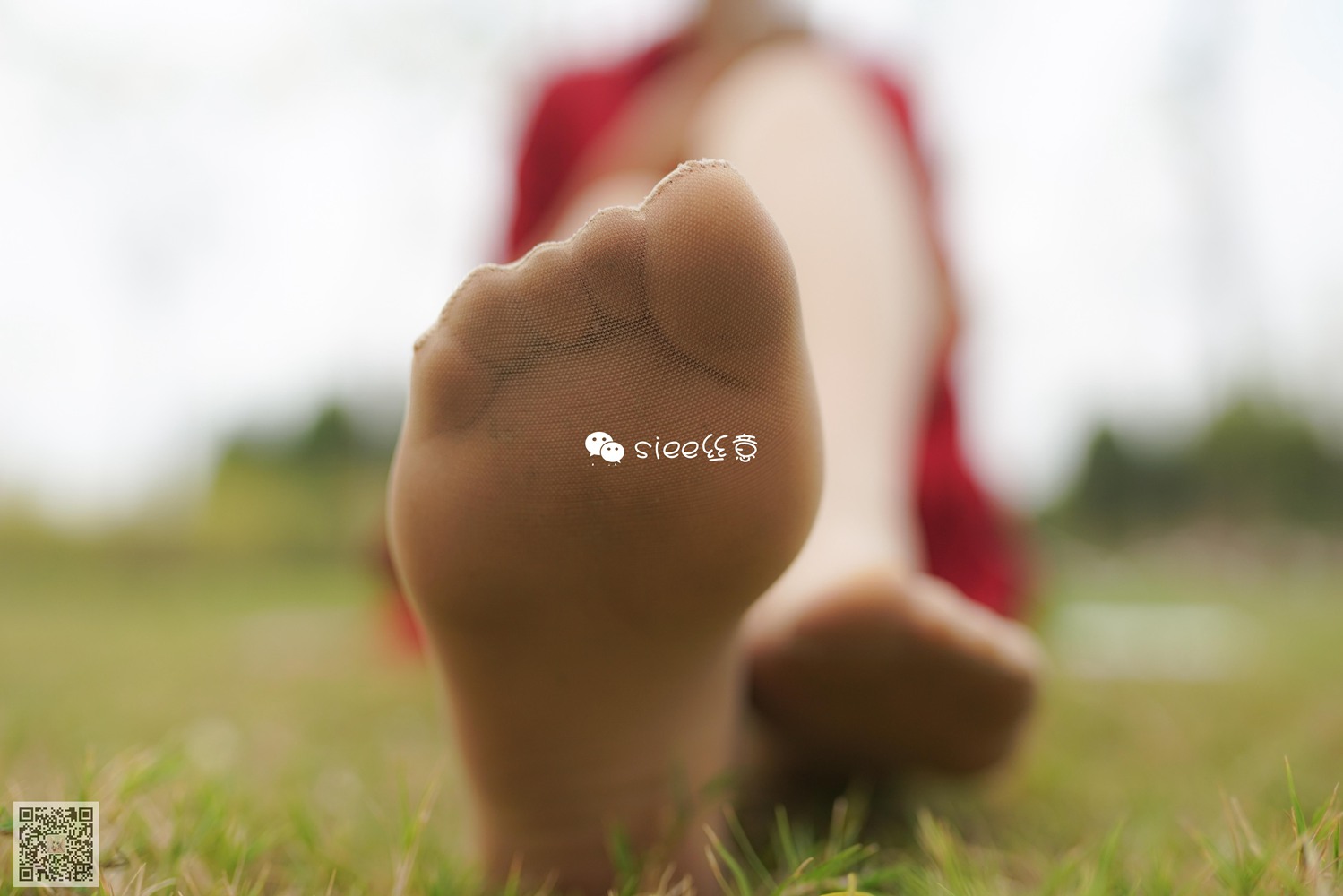 图片[31]-[SIEE丝意] No.191 晴儿~草地薄絲 在线浏览 – 速更版-美库