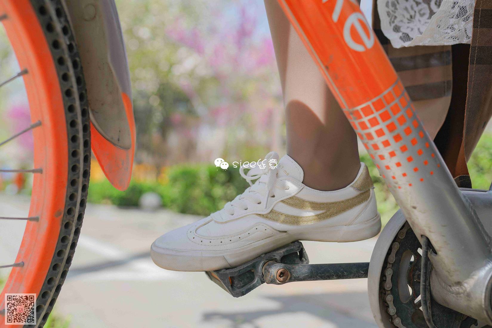 图片[10]-[SIEE丝意] No.273 薇薇学姐 单车上的丝袜 在线浏览 – 速更版-美库