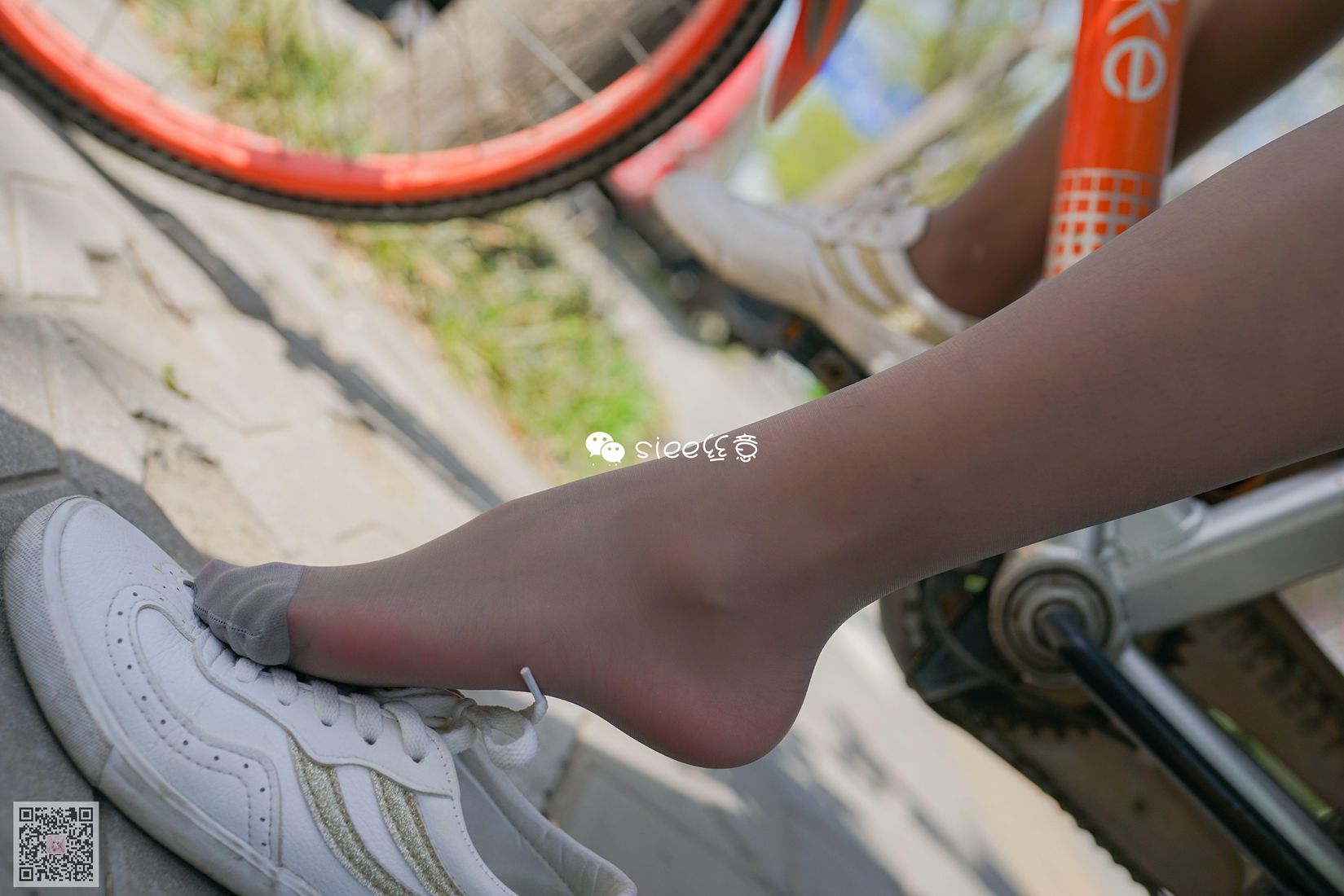 图片[16]-[SIEE丝意] No.273 薇薇学姐 单车上的丝袜 在线浏览 – 速更版-美库
