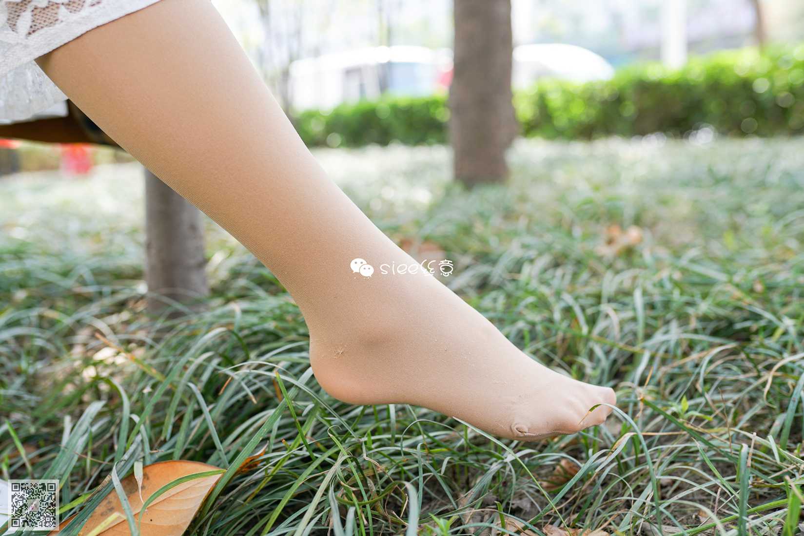 图片[39]-[SIEE丝意] No.280 薇薇学姐 转角遇到你 在线浏览 – 速更版-美库