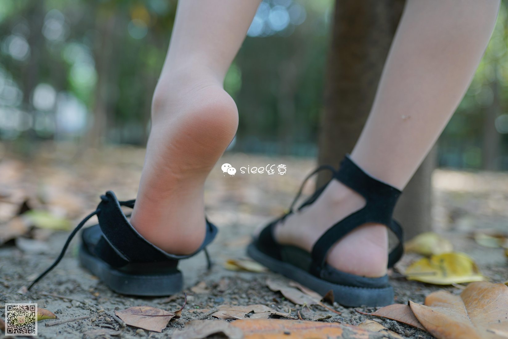 图片[34]-[SIEE丝意] No.308 沐萱 小树林的秘密 在线浏览 – 速更版-美库