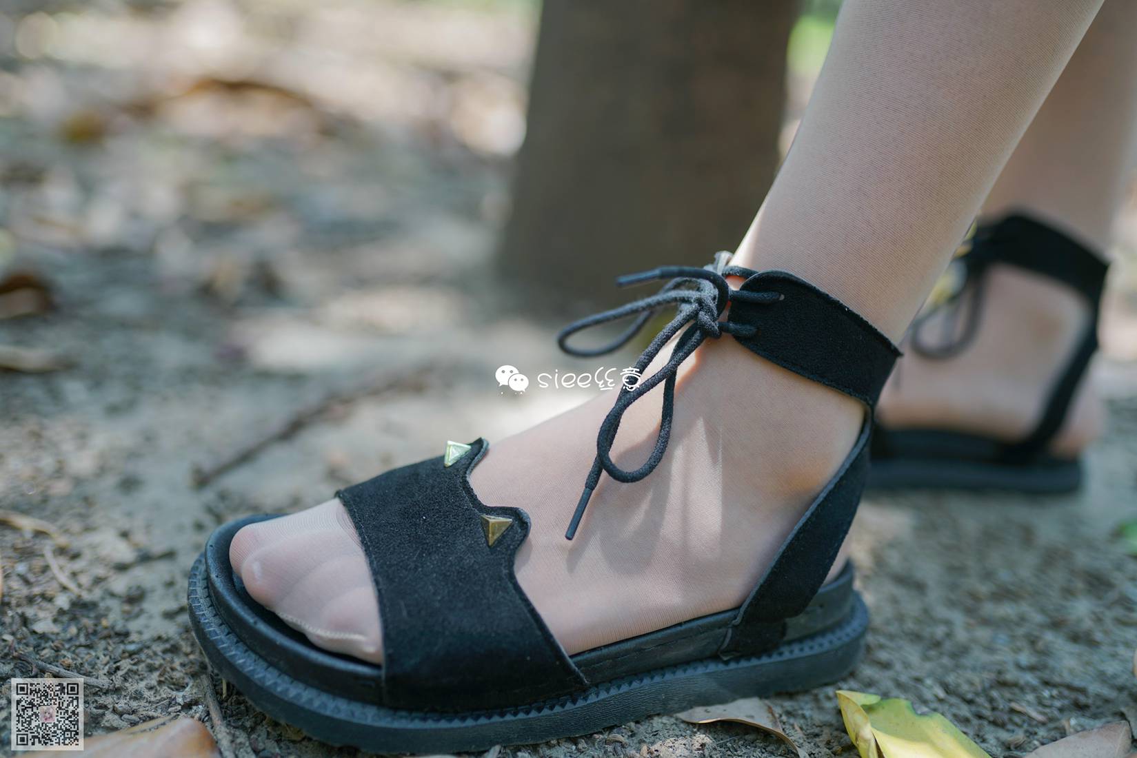 图片[24]-[SIEE丝意] No.308 沐萱 小树林的秘密 在线浏览 – 速更版-美库