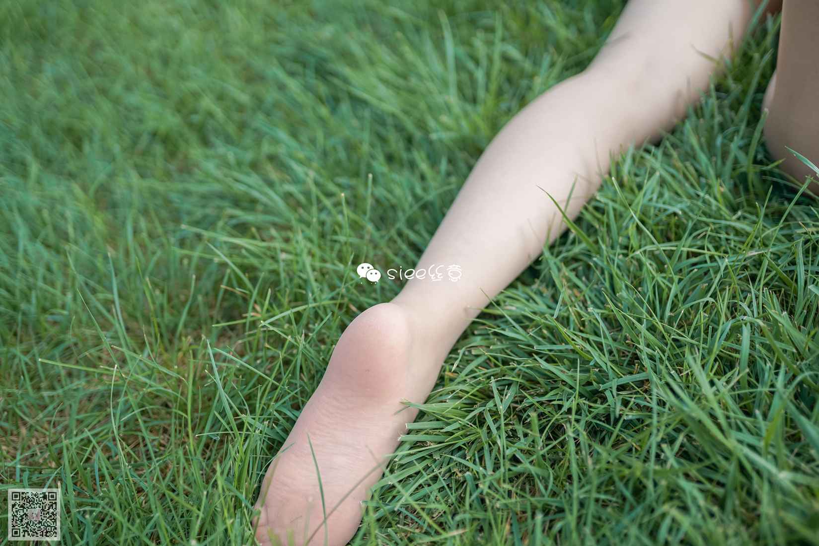 图片[25]-[SIEE丝意] No.329 冰冰 花开无语，叶落有声 在线浏览 – 速更版-美库