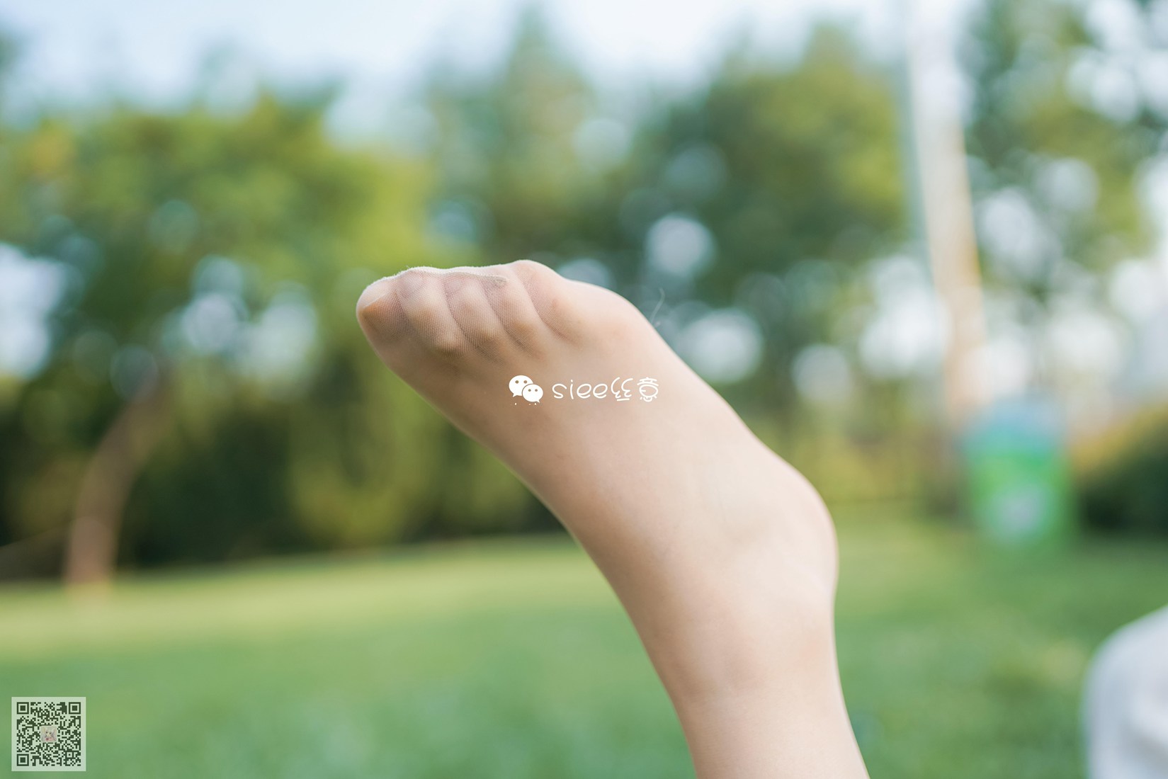 图片[26]-[SIEE丝意] No.329 冰冰 花开无语，叶落有声 在线浏览 – 速更版-美库