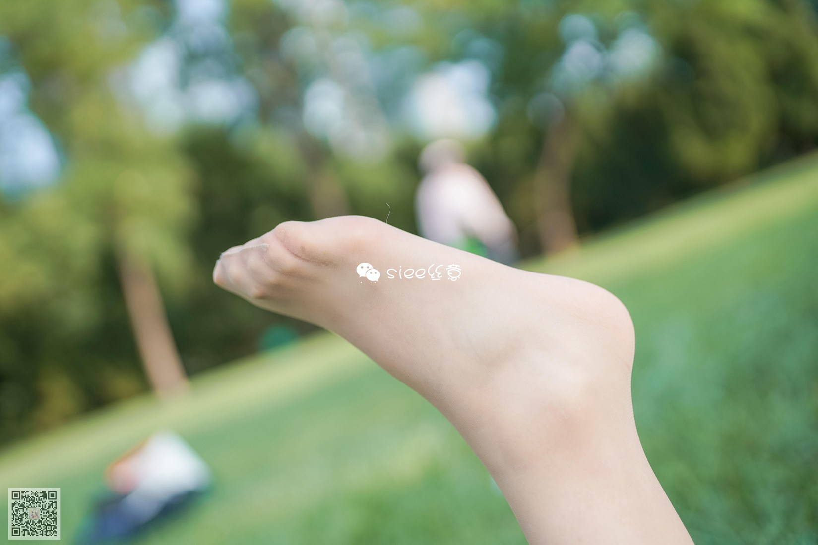 图片[27]-[SIEE丝意] No.329 冰冰 花开无语，叶落有声 在线浏览 – 速更版-美库