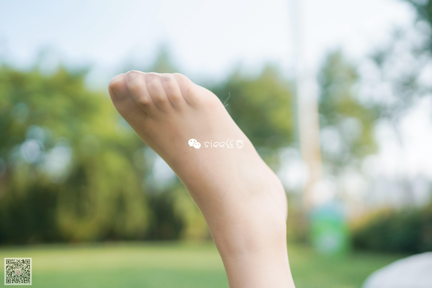 图片[46]-[SIEE丝意] No.329 冰冰 花开无语，叶落有声 在线浏览 – 速更版-美库