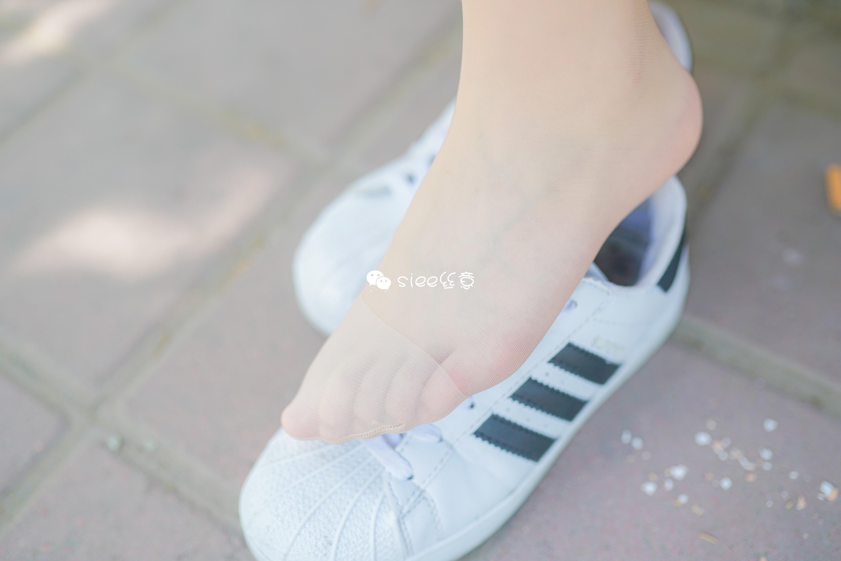 图片[6]-[SIEE丝意] No.349 玲玲 新师妹，仲夏之思 在线浏览 – 速更版-美库