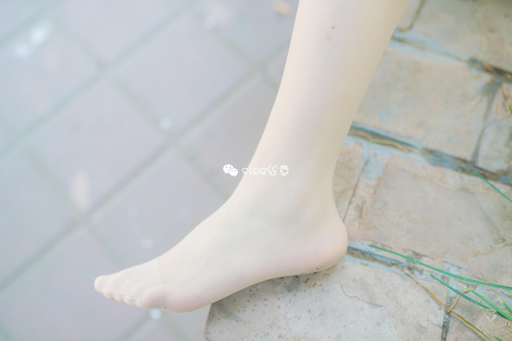 图片[42]-[SIEE丝意] No.349 玲玲 新师妹，仲夏之思 在线浏览 – 速更版-美库