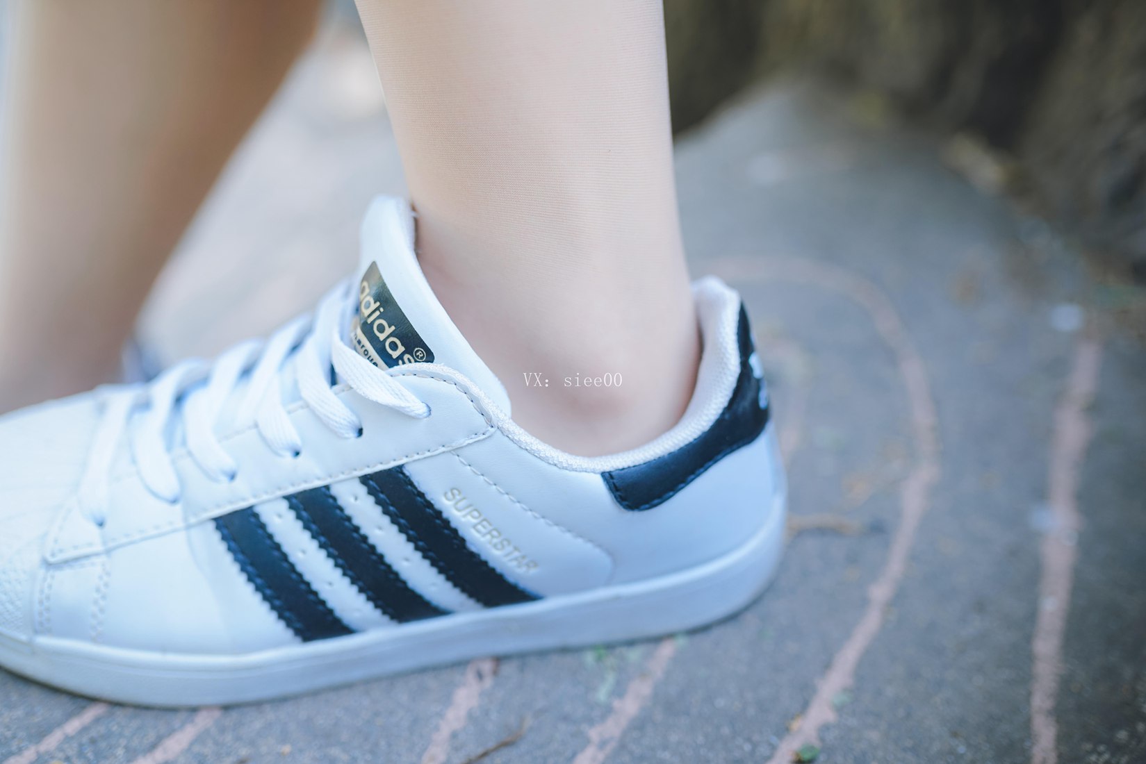 图片[45]-[SIEE丝意] No.353 玲玲 任岁月沉浮，初心不改 在线浏览 – 速更版-美库