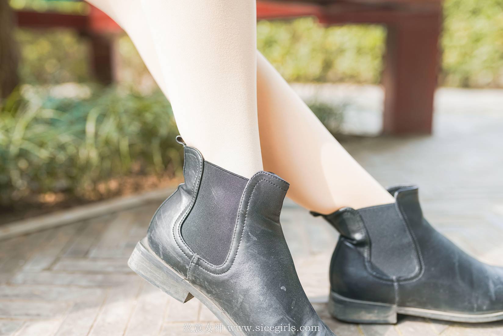 图片[6]-[SIEE丝意] No.370 雪儿 秋风催红的枫叶 在线浏览 – 速更版-美库