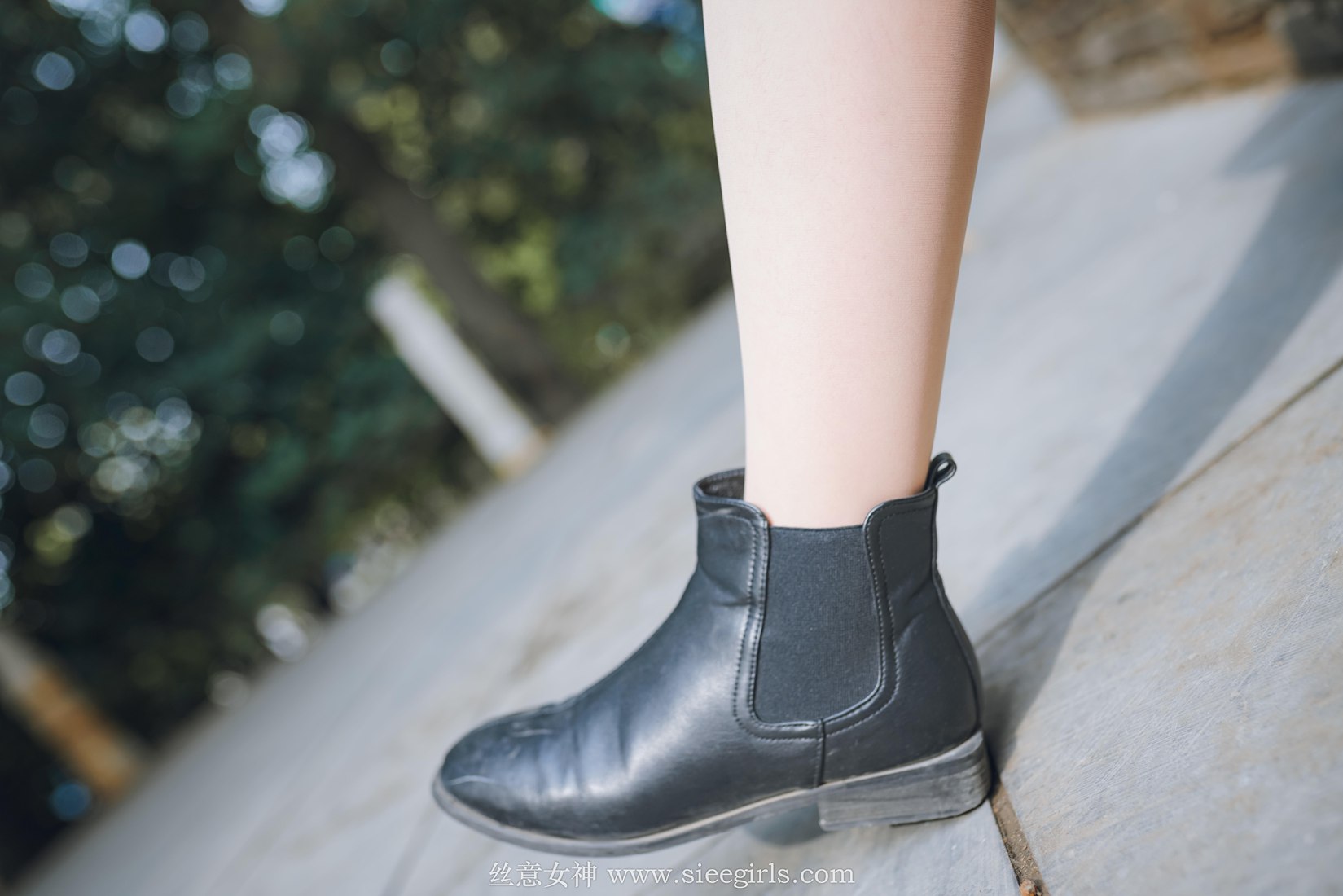 图片[66]-[SIEE丝意] No.375 雪儿 落叶的情愫 在线浏览 – 速更版-美库