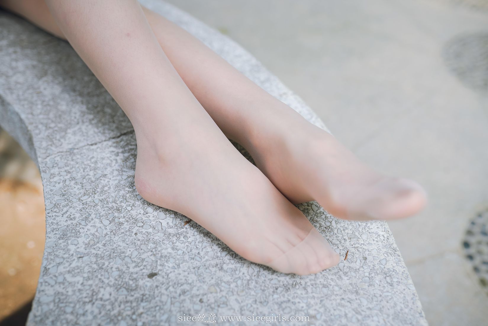 图片[34]-[SIEE丝意] No.384 雪儿 暗恋 在线浏览 – 速更版-美库