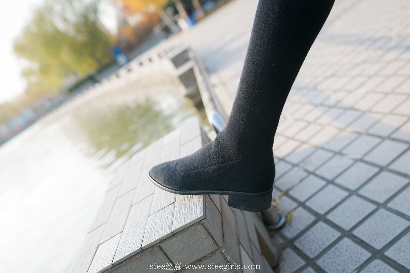 图片[68]-[SIEE丝意] No.393 琴琴～御姐范 在线浏览 – 速更版-美库