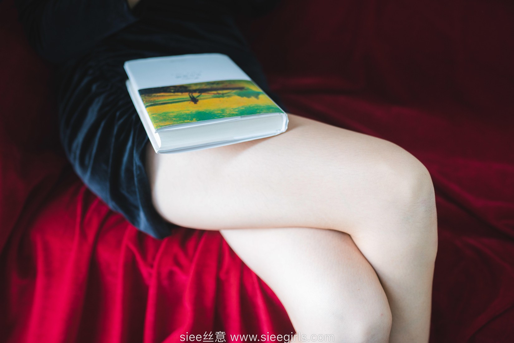 图片[40]-[SIEE丝意] No.430 蓓蓓～稳稳的幸福 在线浏览 – 速更版-美库