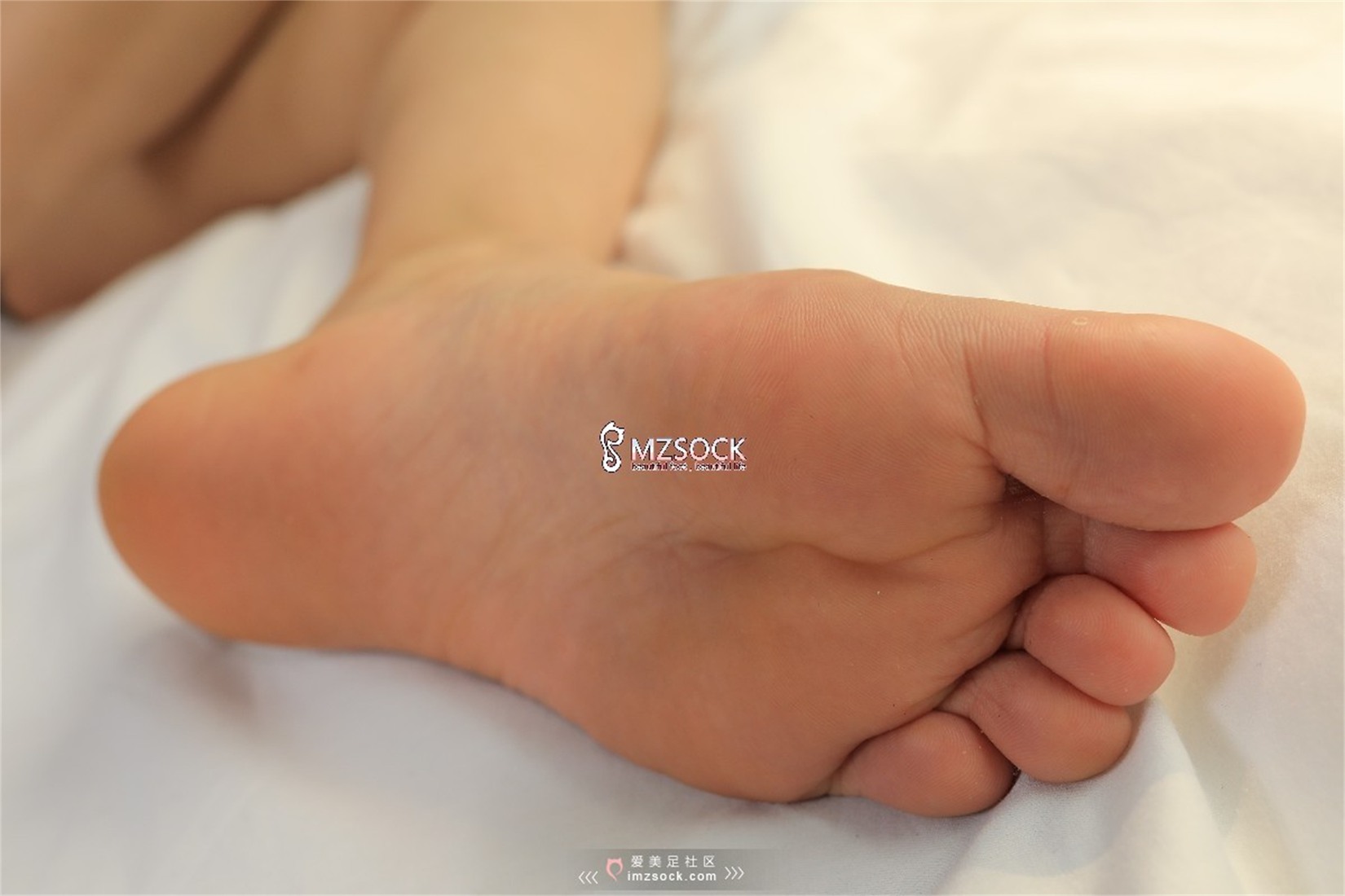 图片[6]-[MZSOCK爱美足] No.046 晶晶 在线浏览 – 速更版-美库