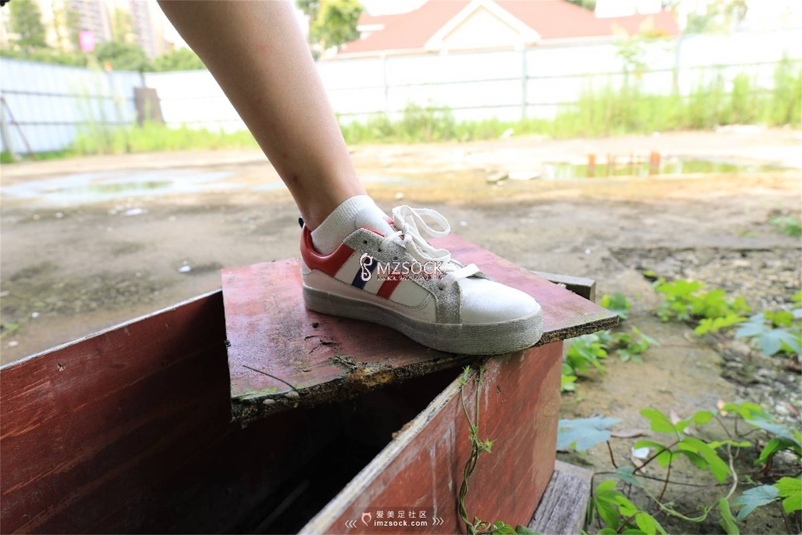 图片[38]-[MZSOCK爱美足] No.049 悦悦 在线浏览 – 速更版-美库