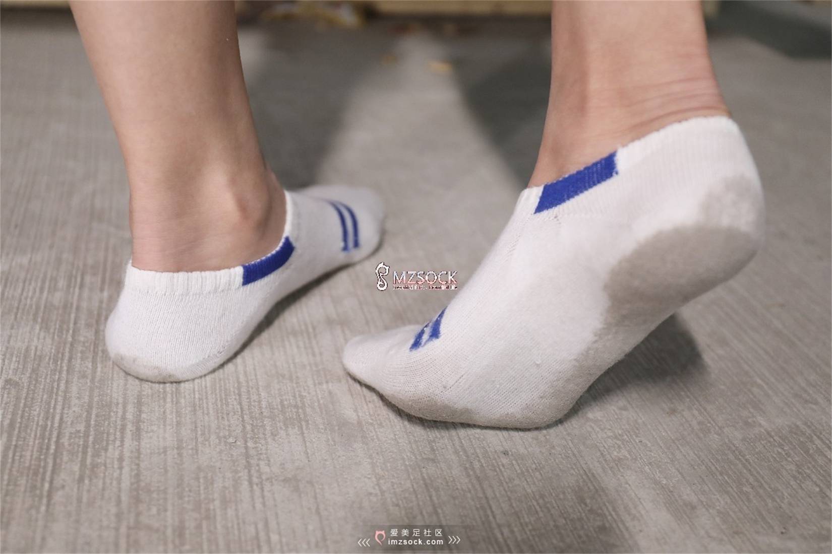 图片[26]-[MZSOCK爱美足] No.066 叮叮 在线浏览 – 速更版-美库