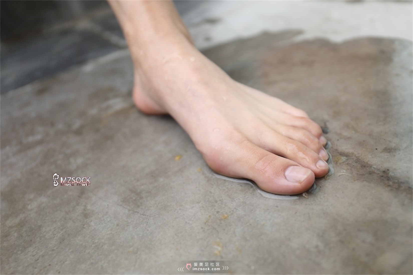 图片[54]-[MZSOCK爱美足] No.071 叮叮 在线浏览 – 速更版-美库