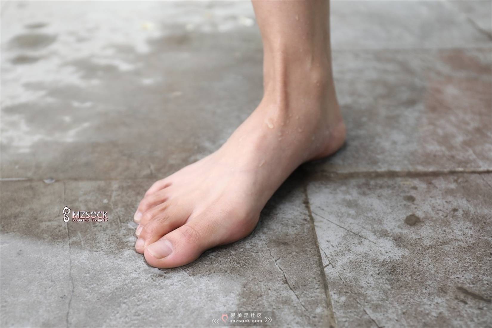 图片[45]-[MZSOCK爱美足] No.071 叮叮 在线浏览 – 速更版-美库