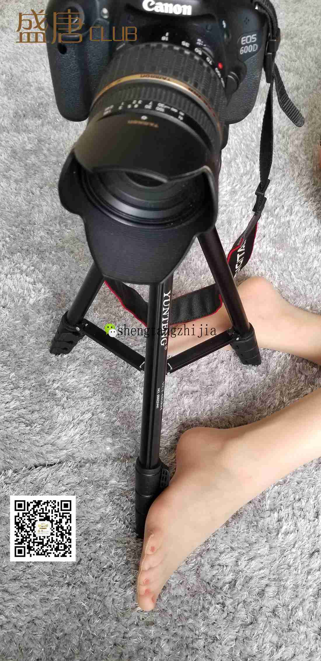 [盛唐CLUB] No.006 温度与湿度 在线浏览 – 优选-优选资源网