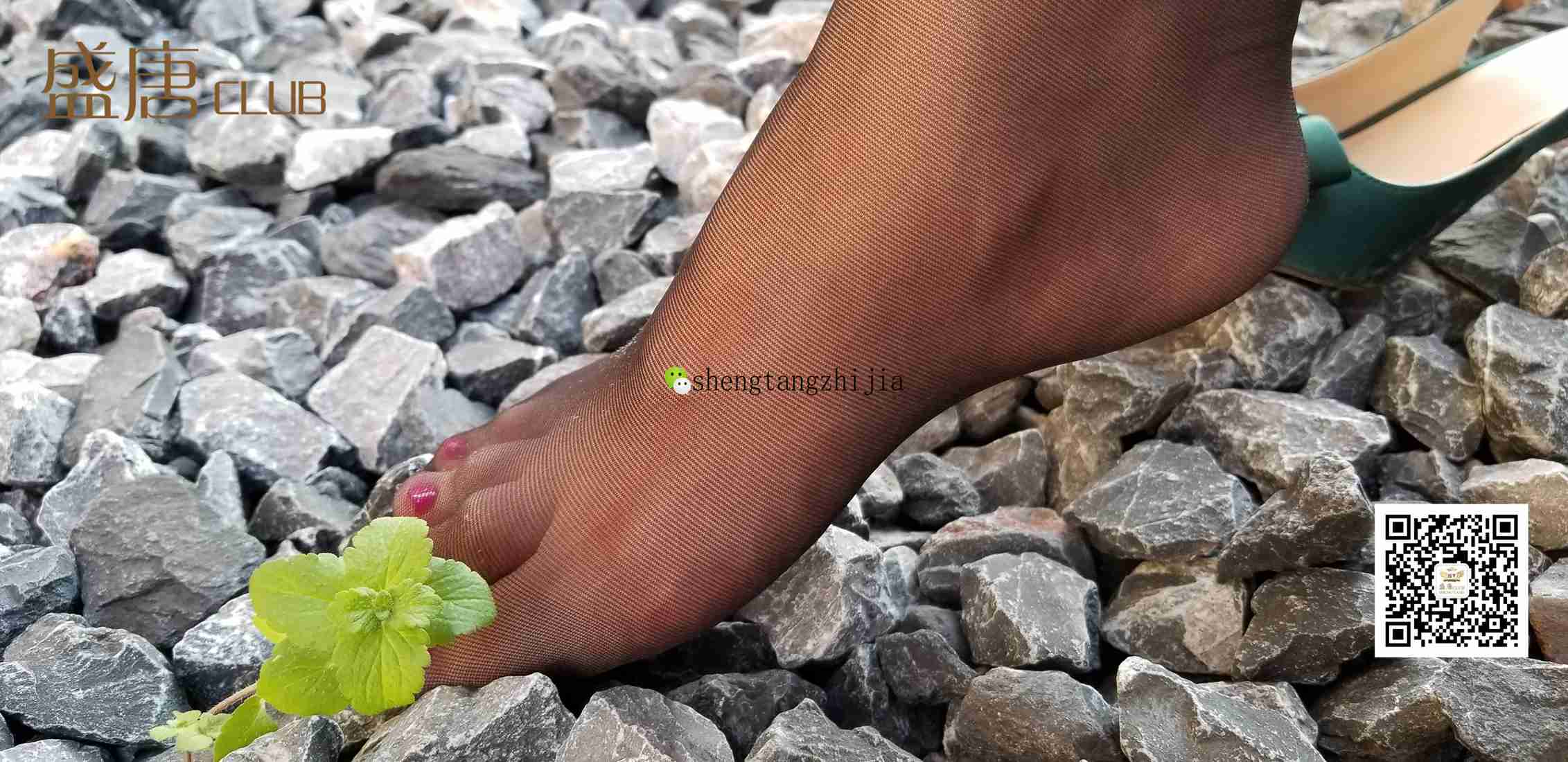 图片[24]-[盛唐CLUB] No.008 摄影基地的黑色Y惑 在线浏览 – 速更版-美库