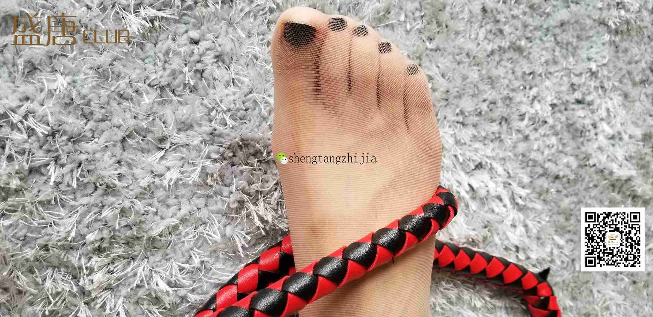 图片[57]-[盛唐CLUB] No.011 超薄&鞭子 在线浏览 – 速更版-美库